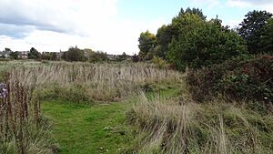 Long Lane Pasture