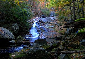 Lynn-camp-prong-falls-tenn