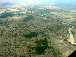 Mara River Massai Mara