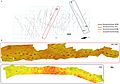 Megalosaurid trackways