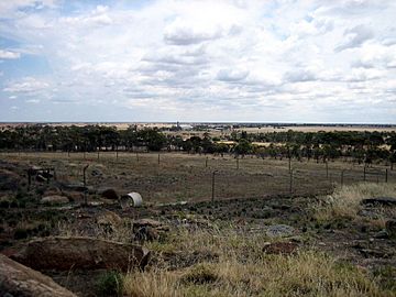 Mt. Wycheproof Lookout.jpg