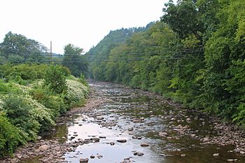 Muncy Creek in Picture Rocks.JPG