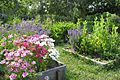 Oldest House Kitchen Garden