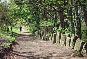 Otley Chevin Megalithic Stone Boundary