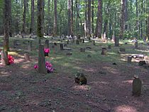 Plemmons-cemetery-greenbrier1