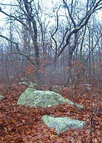 Pocasset Hill, RI, summit