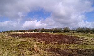 Porlock Stone Circle I.jpg