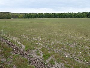 Potton Hall Fields 3.jpg