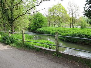 River Stour from Bucksford Lane