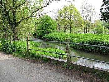 River Stour from Bucksford Lane.jpg