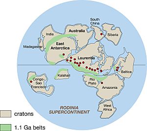 Rodinia reconstruction