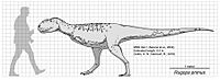 Rugops primus scale diagram.jpg