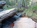 Sabino creek, Tucson