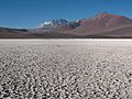 Salar de Aguas Calientes IV, Región de Antofagasta