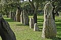 Sardinien Goni Pranu Muttedu menhir-reihe