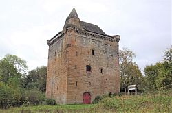 Sauchie Tower. Detail view south-East. Clackmannanshire