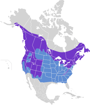 Sitta canadensis map.svg