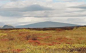 Skjaldbreidur Herbst 2004