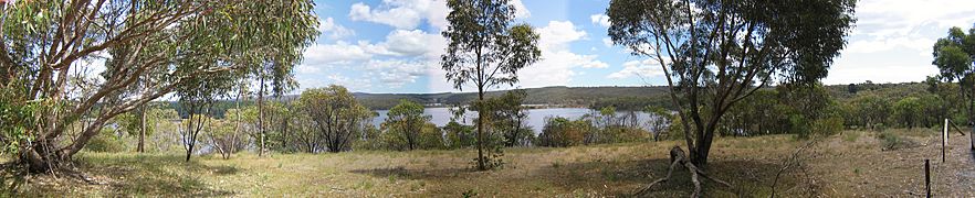 South Para from hill lookout-merged