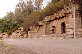 Structures at griffith park zoo