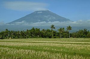 Sumbing, Java