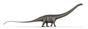 Supersaurus dinosaur