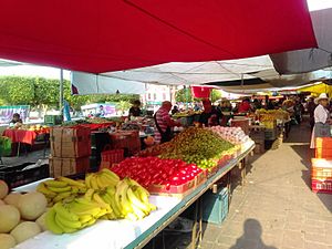 Tianguis en Actopan