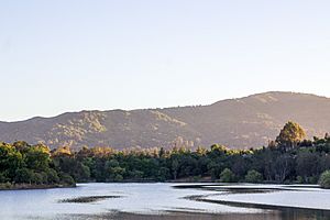 Vasona Reservoir - panoramio