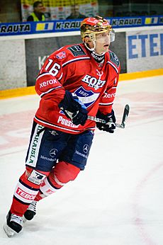 Ville Peltonen 2.jpg