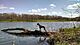 Vizsla Dog At Johnson Sauk Trail Lake.jpg