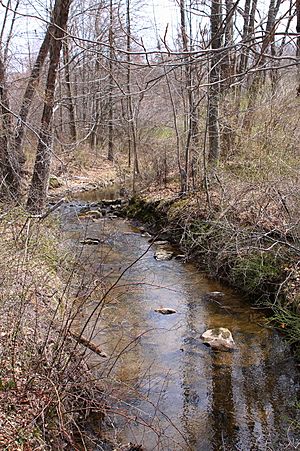 Walker Run looking upstream