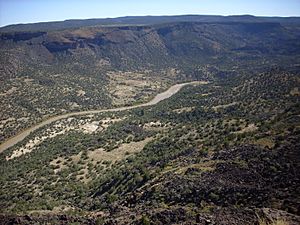 White Rock Canyon