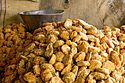 (1) Jaggery Gud Punjab India