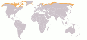 800px-Map-Tundra