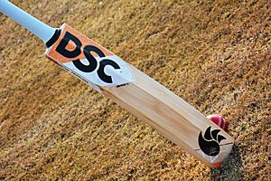 A Modern Cricket Bat