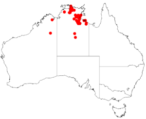 Acacia conspersaDistMap214.png