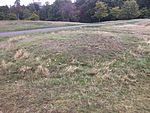 Anglo-Saxon barrow, Greenwich Park.jpg