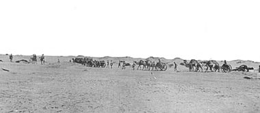 BLC15pounderCamelBatteryHatum5Jan1918