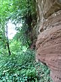 Badger Dingle - sandstone cliff