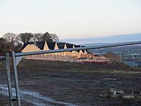 Bilberry Area Housing Development 2009