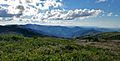 Black Balsam Knob Views