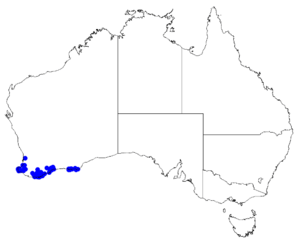 Boronia denticulata DistMap32.png