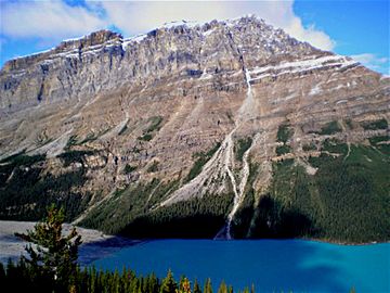 Caldron Peak and Peyto Lake.jpg