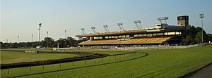 CanterburyRacecourse