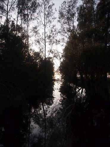 Chittaway Bay - panoramio.jpg