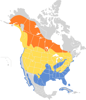 Chroicocephalus philadelphia map.svg