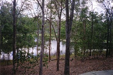 Enoggera-Reservoir.JPG