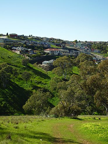 Greenwith Adelaide South Australia.jpg