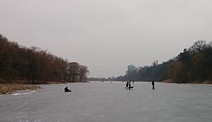 GrenadierPondSkaters2015