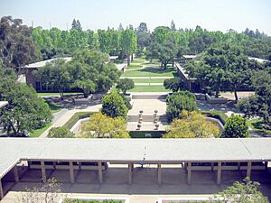 HMC library view